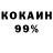 COCAIN Fish Scale Holida Kysanova
