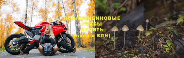 COCAINE Богданович