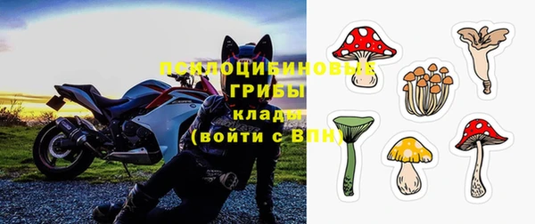 a pvp Богородск