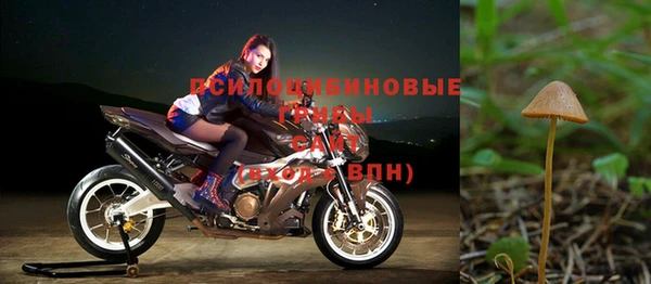 a pvp Богородск
